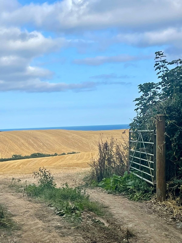 Photo from Shepherds Hut